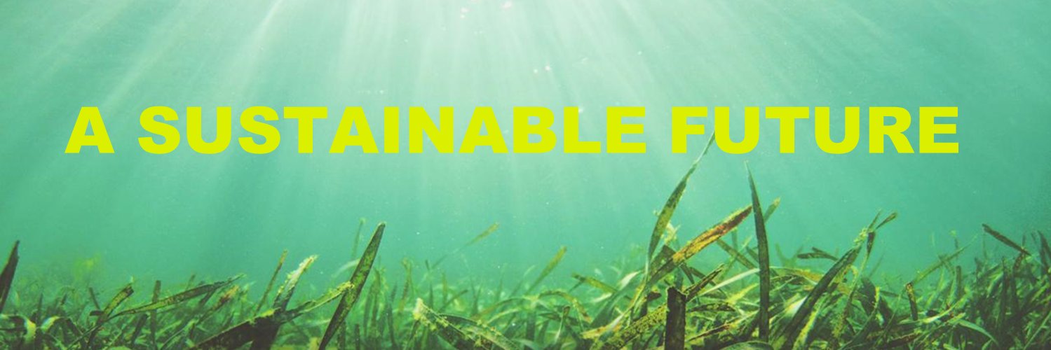 Sea6 Energy Official banner