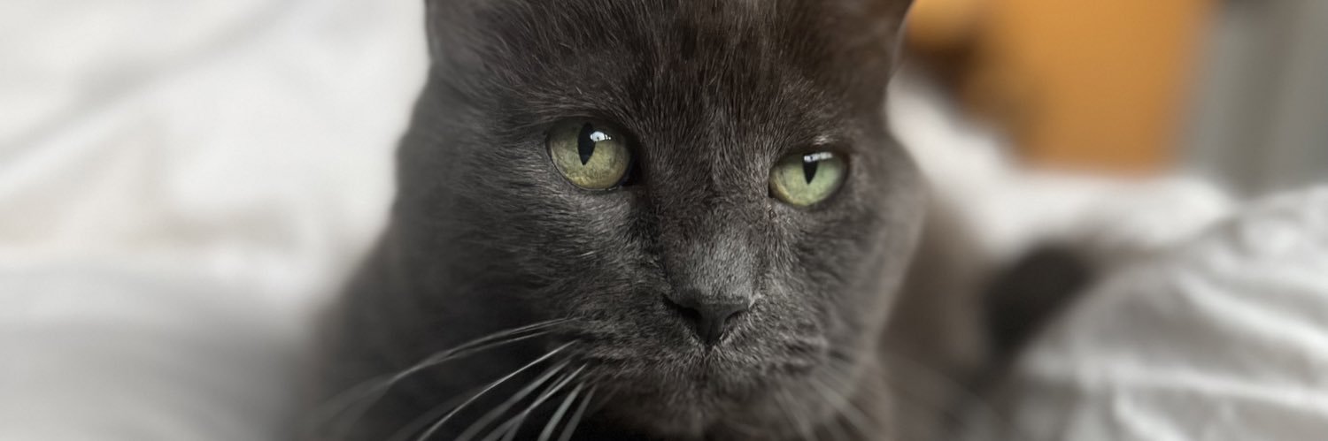 beansinmybed's profile banner image