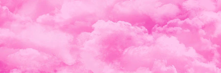 Emmy's banner