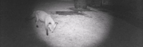 Val Woodhouse banner