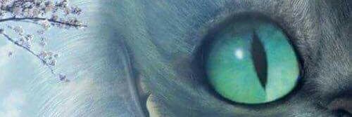 PopGumm's profile banner image