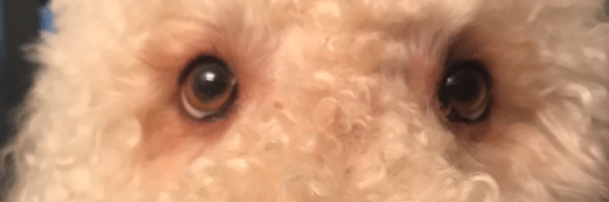kenz_combs's profile banner image