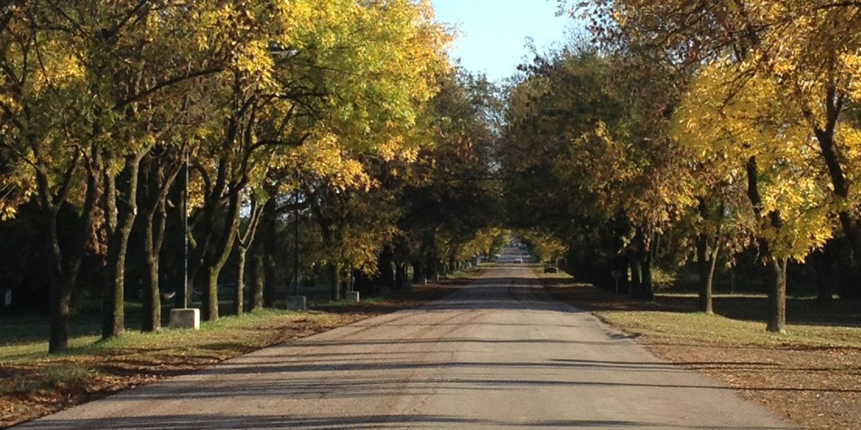 gatodeareco's profile banner image