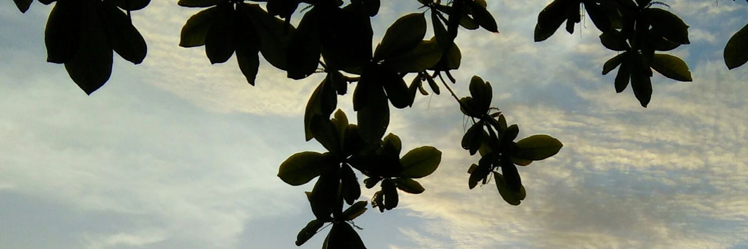 johnreyjasmin11's profile banner image