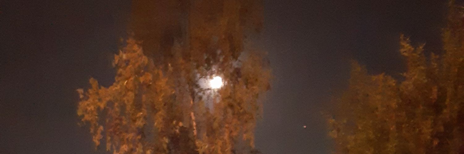 el_rikrdos's profile banner image
