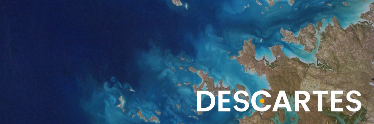 Eric Allombert banner