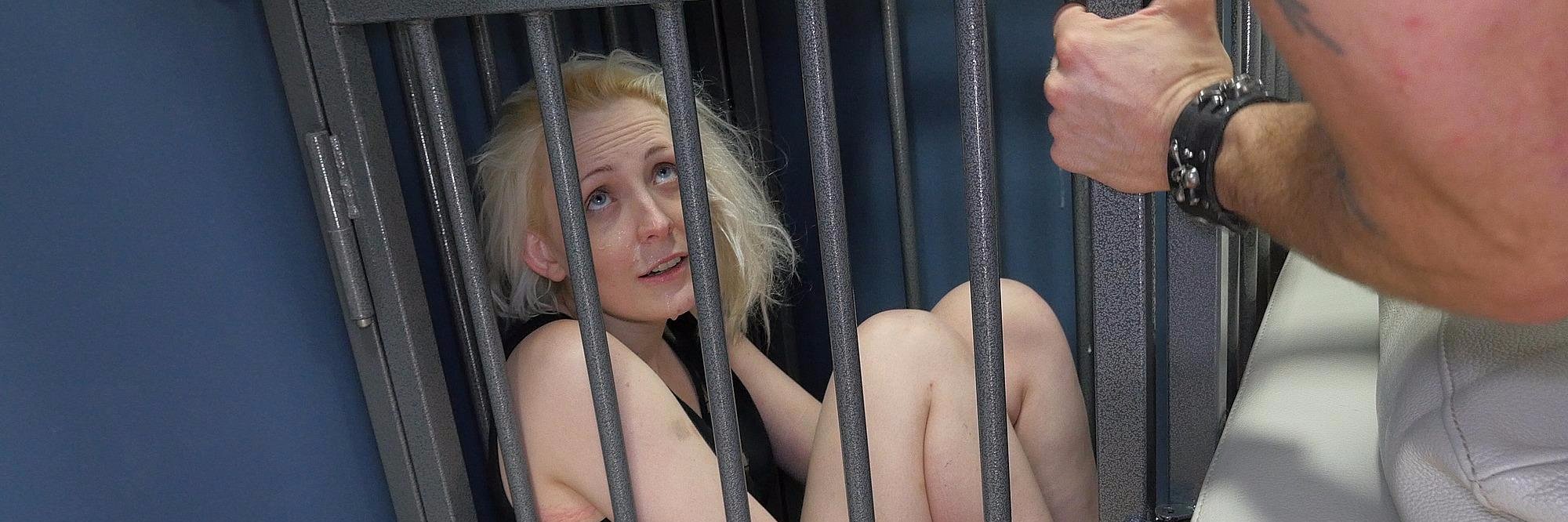 Assylum Bdsm Fan banner