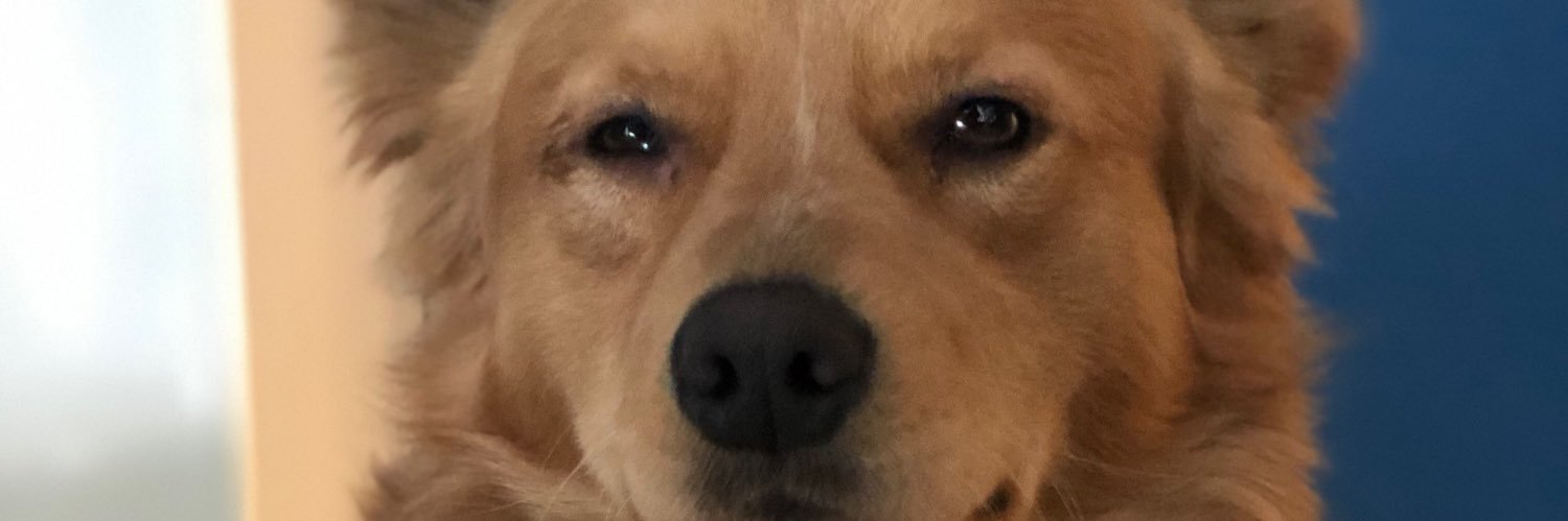 FedheHuerta_'s profile banner image