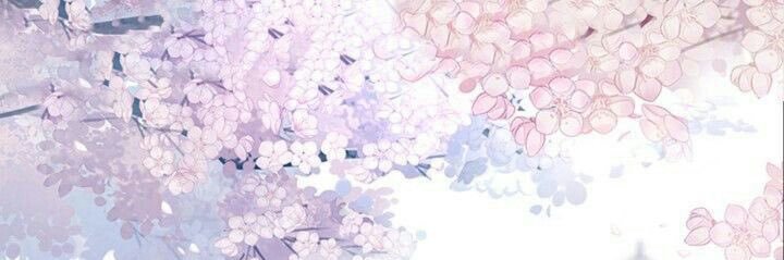 _ohanaaa_'s profile banner image