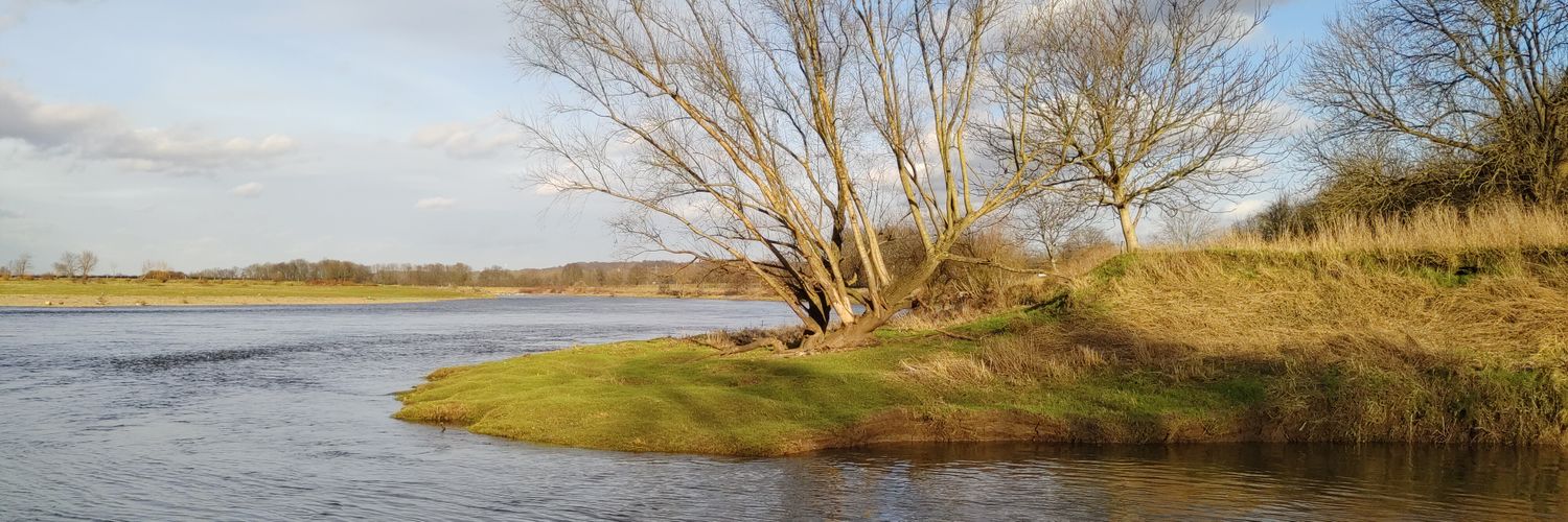 groenlinkser's profile banner image