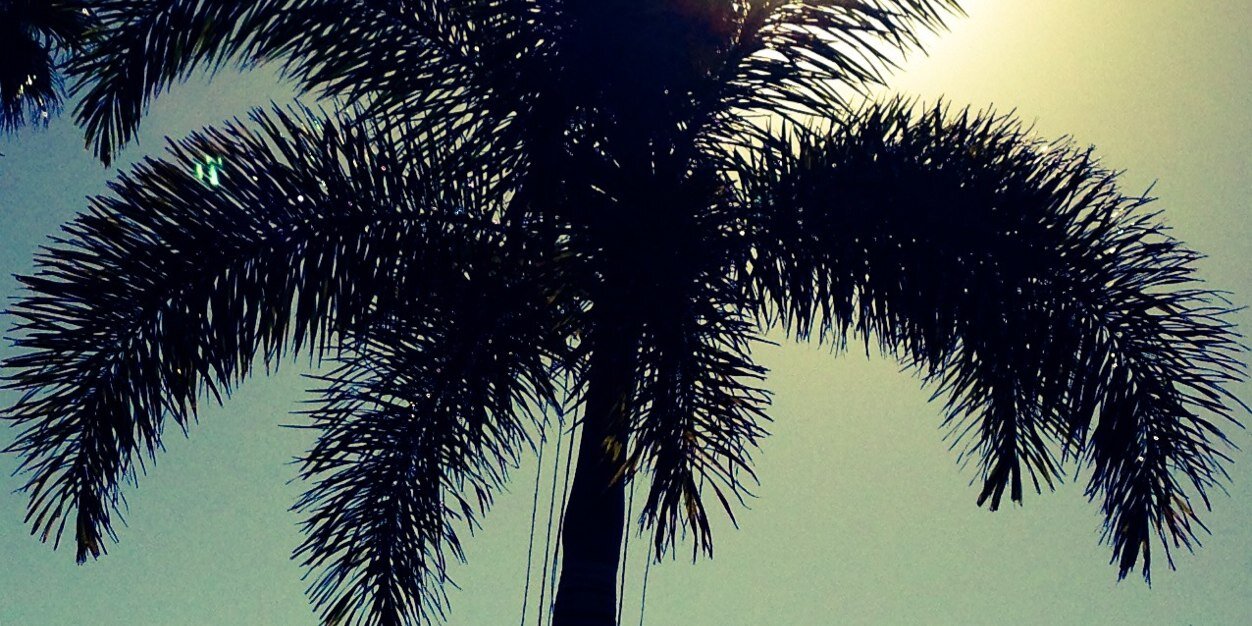 enzo_dan's profile banner image
