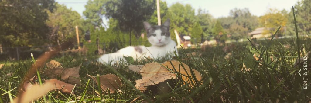 MariaVasquez131's profile banner image