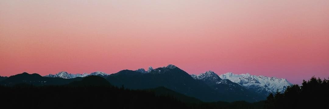TaylorOdgers's profile banner image