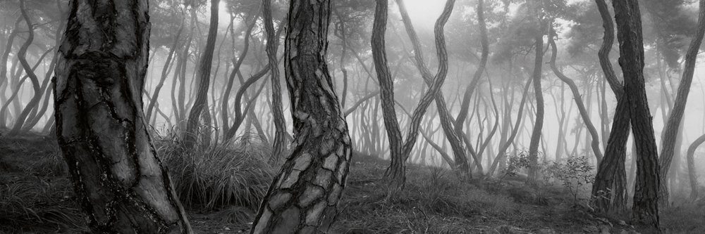 magg_richard's profile banner image