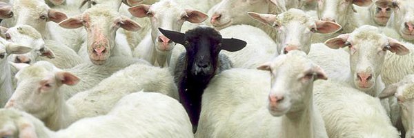 JamesRHarrigan Profile Banner