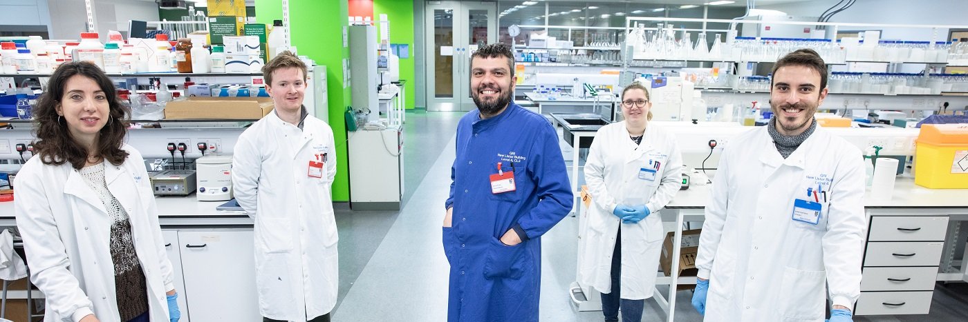 The BINGO Group banner