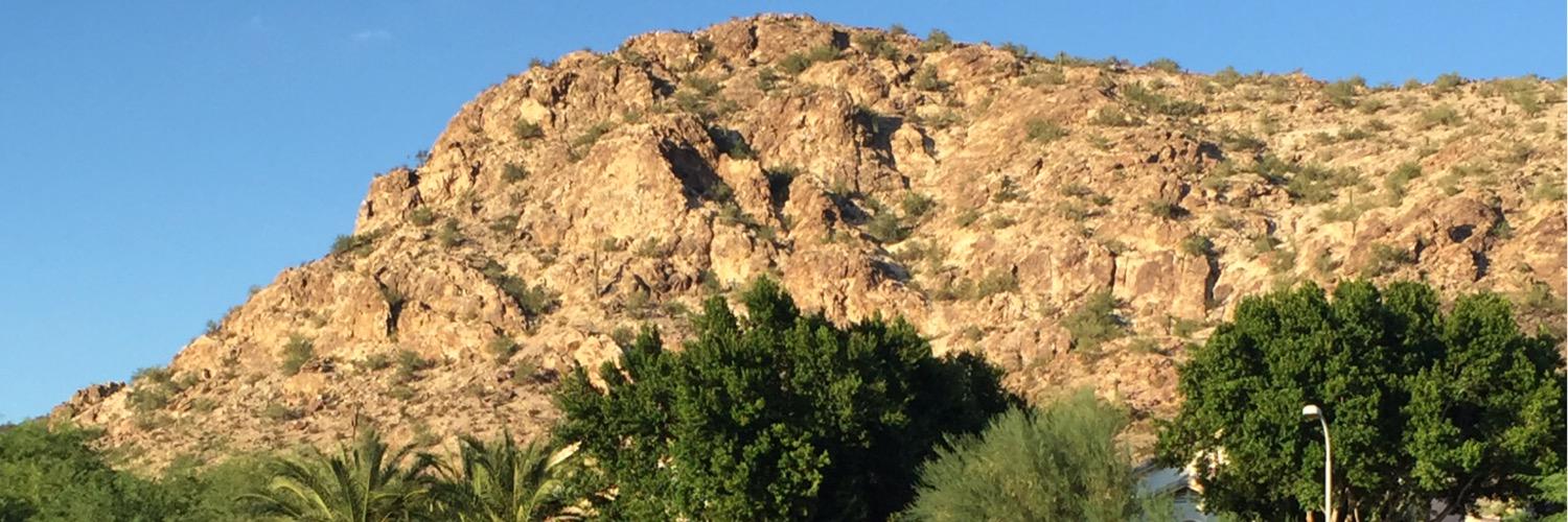 tamark1's profile banner image
