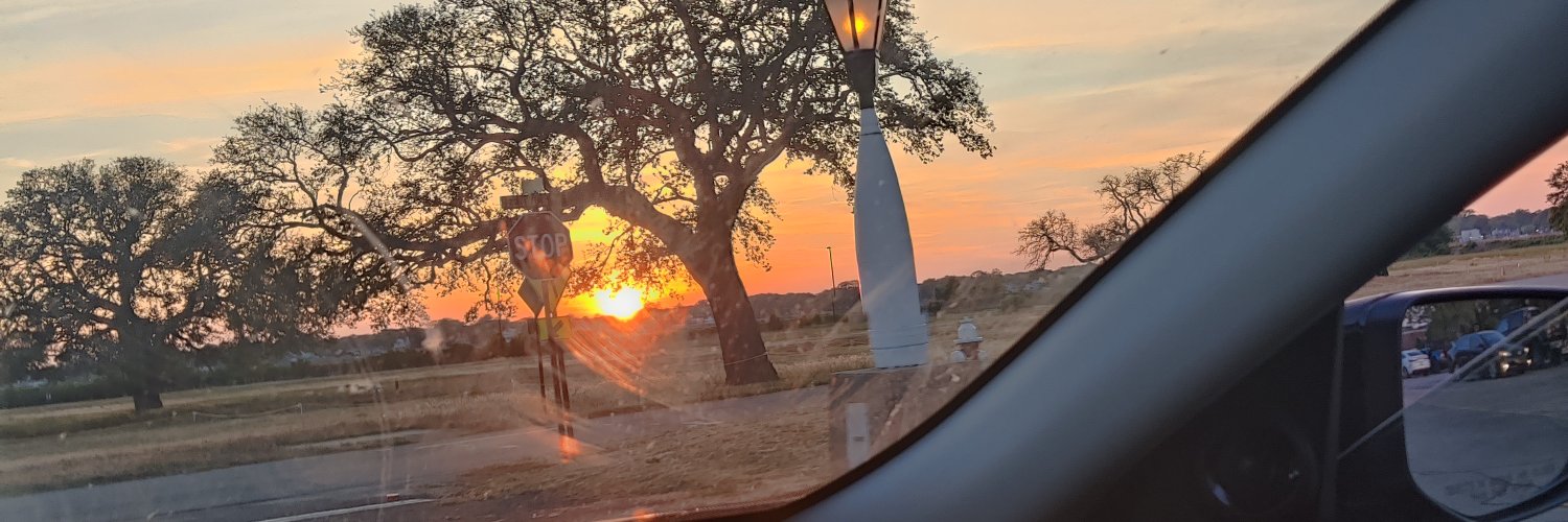 SillyRabbi's profile banner image