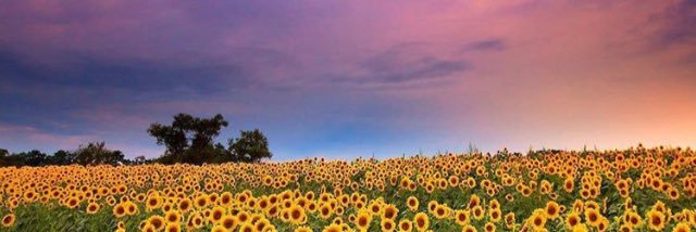 Mbcreech_UNCP's profile banner image