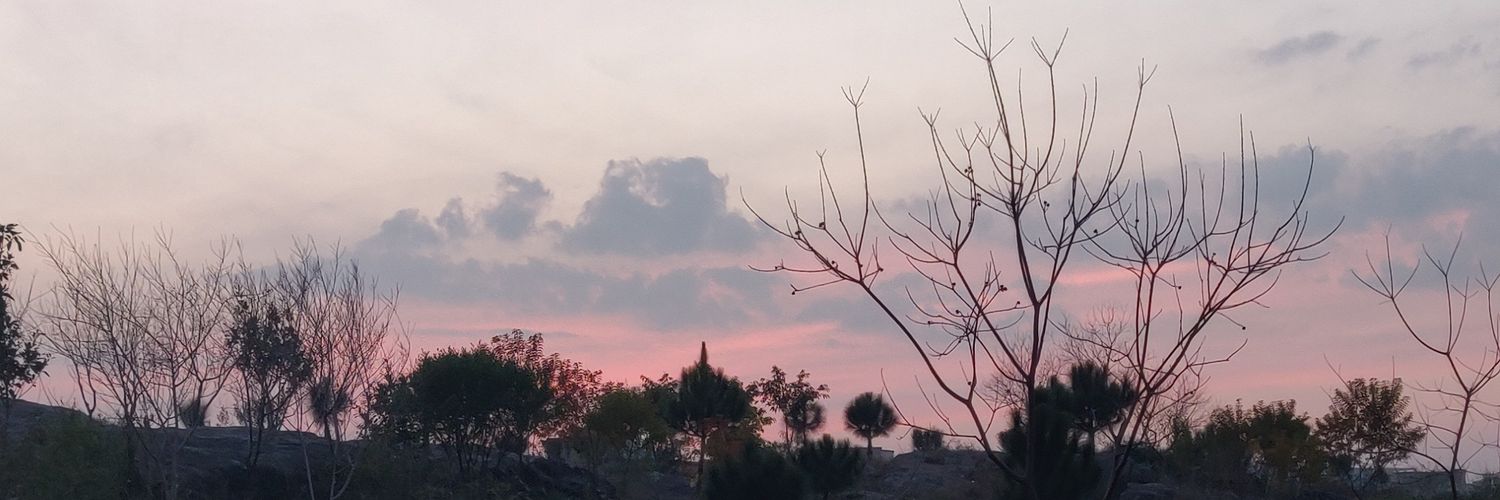 muneezus's profile banner image