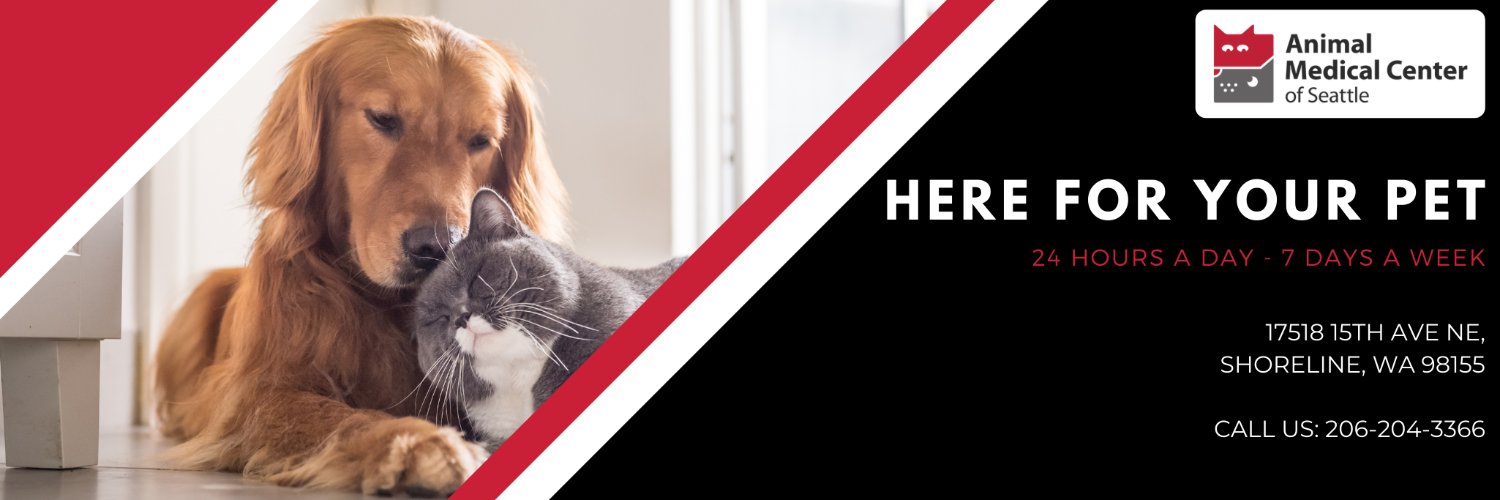 AMCSeattle Vet banner