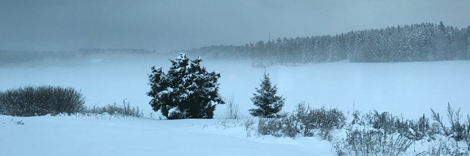 Uffe banner