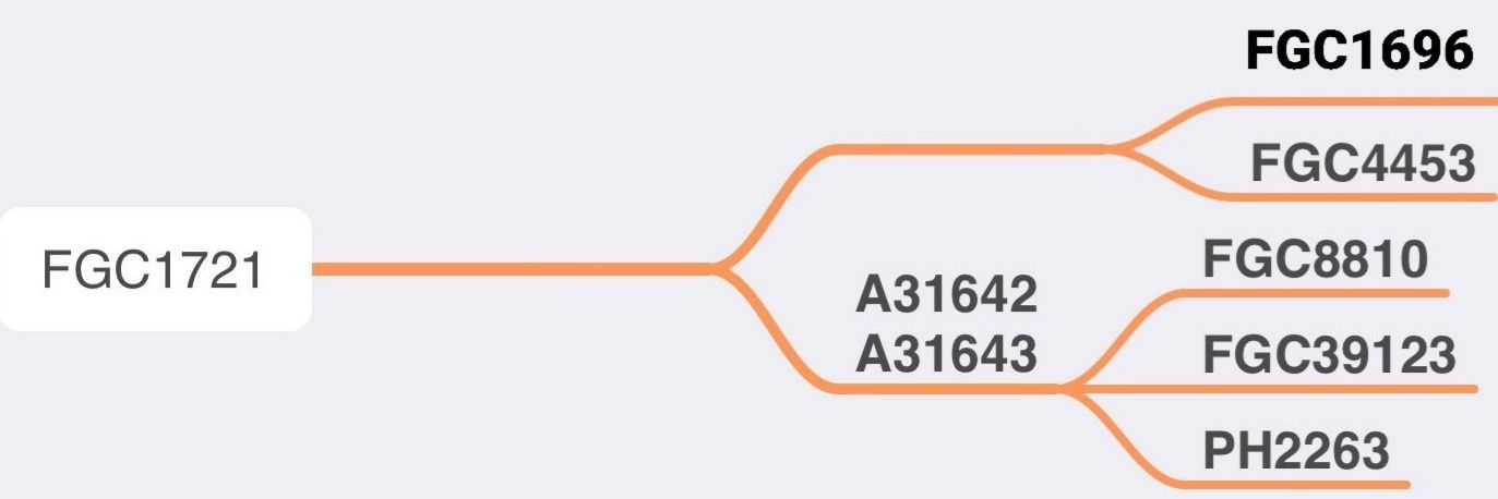 J1-ZS9061 - المسفر banner