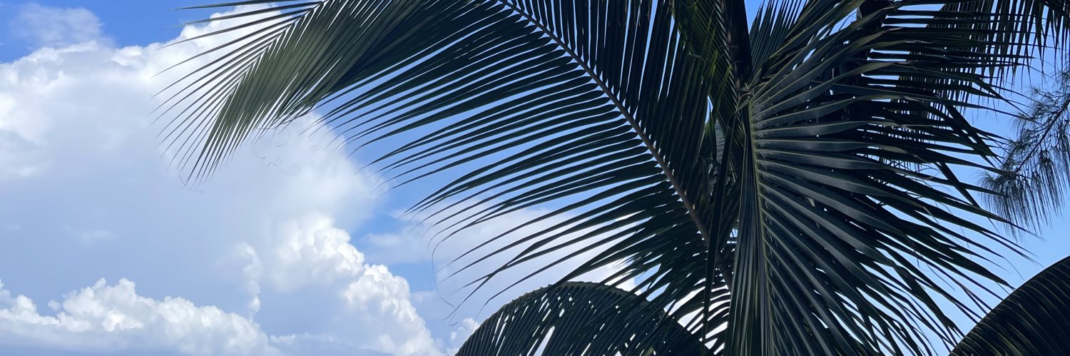 andycontrerasn's profile banner image