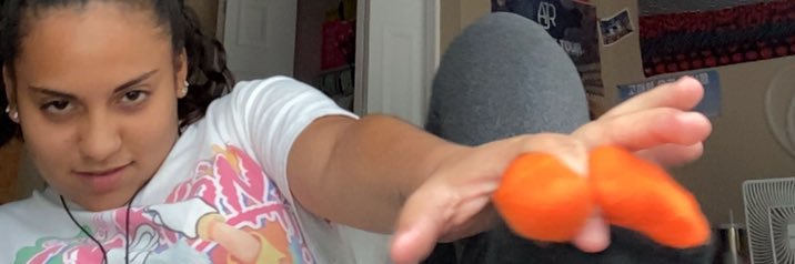 sheeshethan's profile banner image