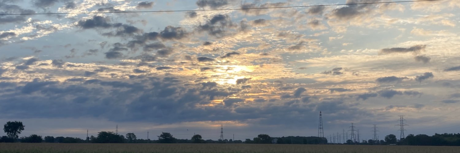 Tony Annyschyn banner