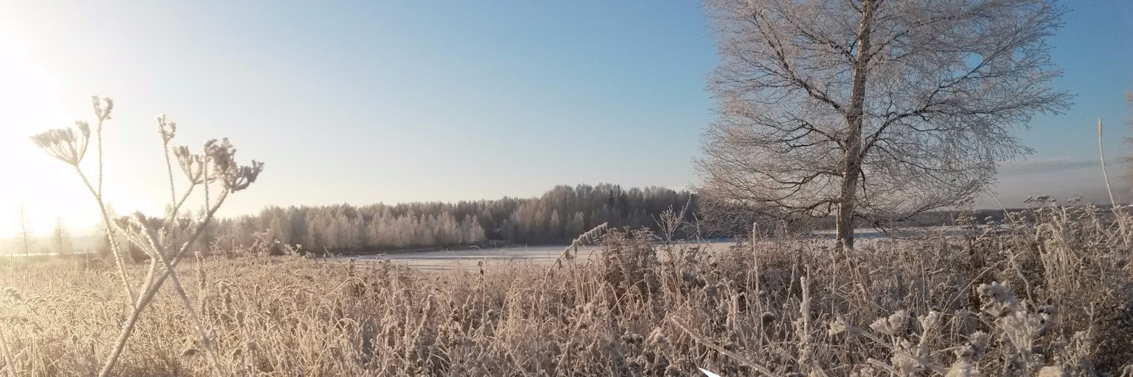 voice4theplanet's profile banner image