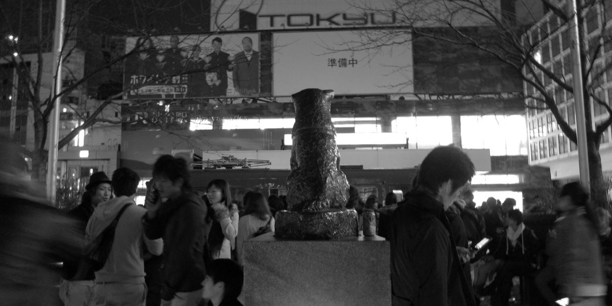 ShibuyaLibre's profile banner image