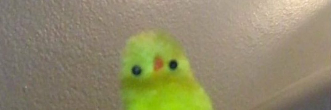 chavvvez_'s profile banner image