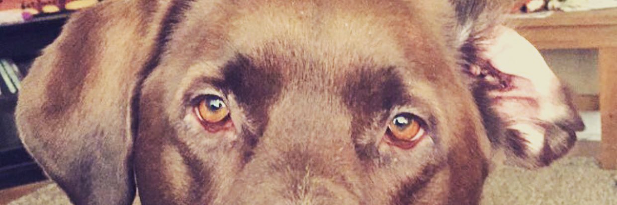 MaricleTanner's profile banner image