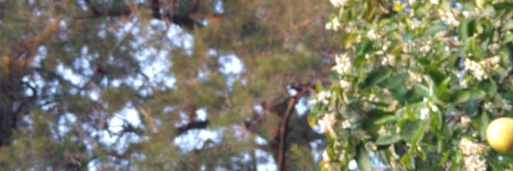 chongocaba25's profile banner image