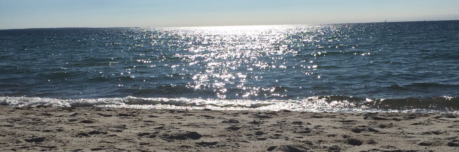 Tiffany Persechini banner