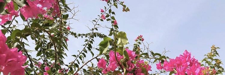 9_AHM9's profile banner image