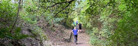 Stonehaven parkrun banner