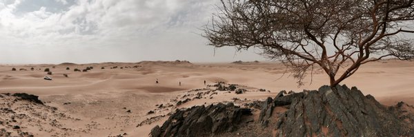 s_overmans Profile Banner