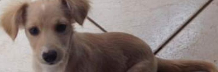 leme1977's profile banner image
