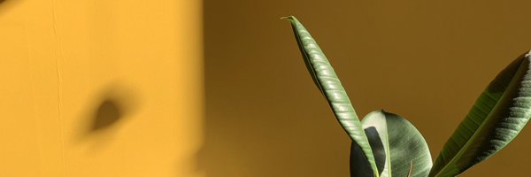 ikuttlass Profile Banner
