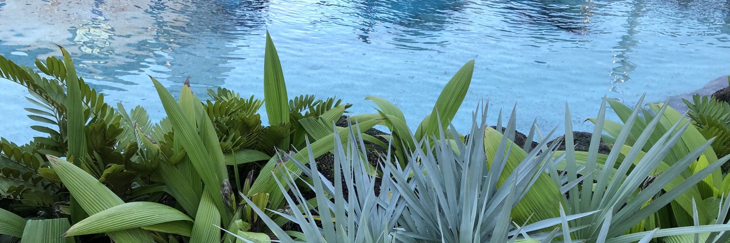 Priscilla Fletcher banner