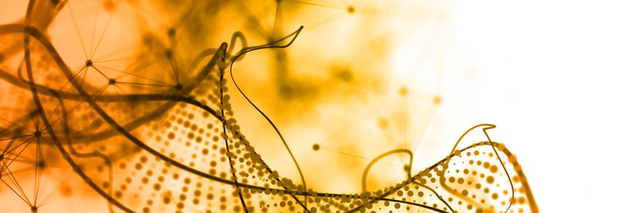 Caelum Biosciences banner