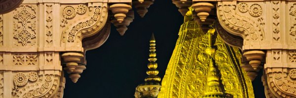 shrinkkhhala Profile Banner