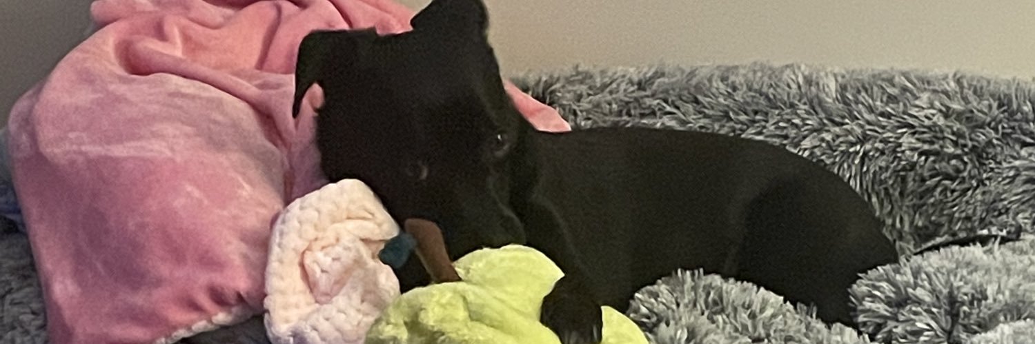 ekprev's profile banner image