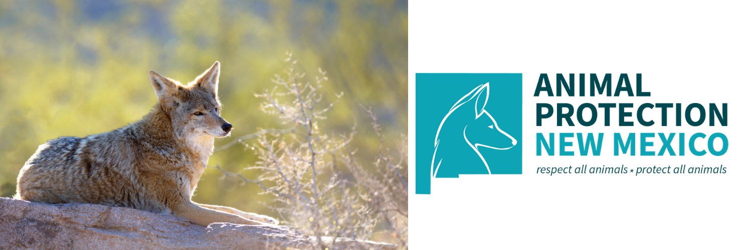 APNM's profile banner image