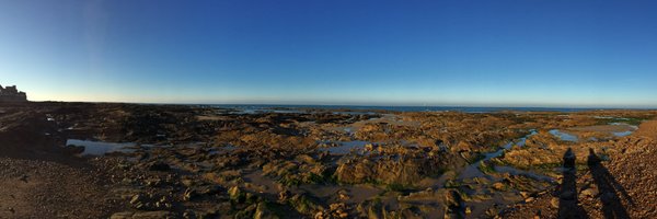 ThierryBouvard Profile Banner