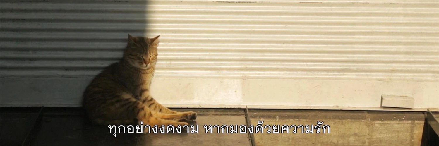 hibabeeeeeeeee's profile banner image