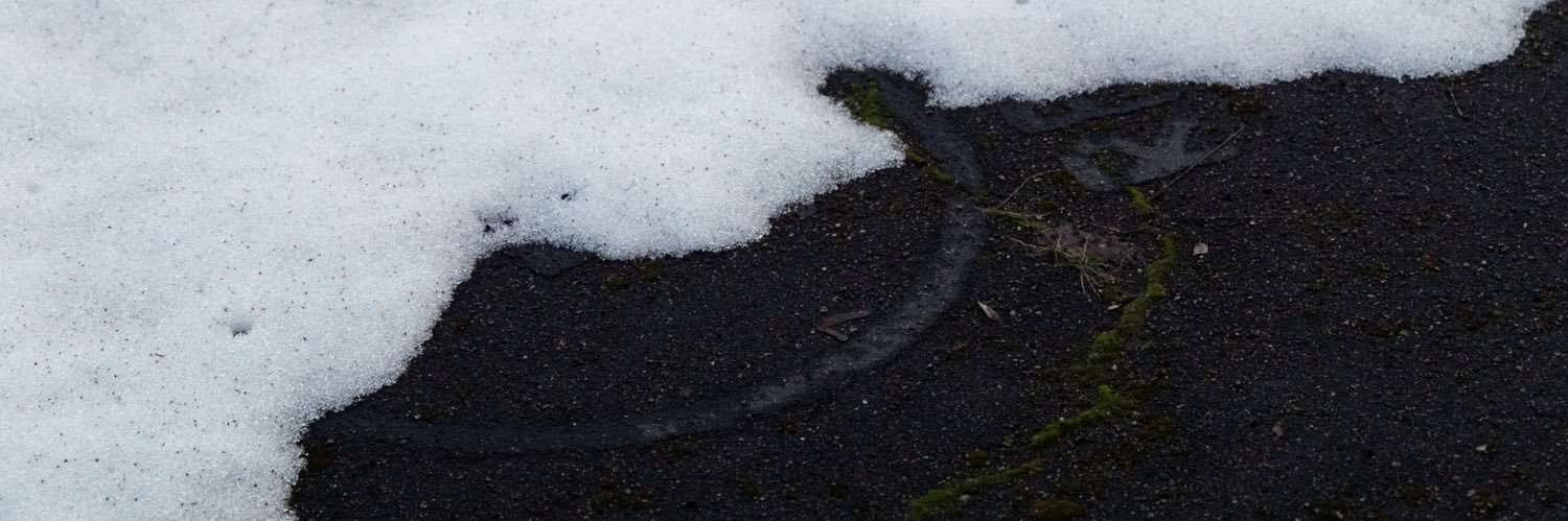 I Was Never There. 🏴󠁧󠁢󠁳󠁣󠁴󠁿 banner