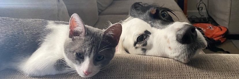 beaujmt5's profile banner image